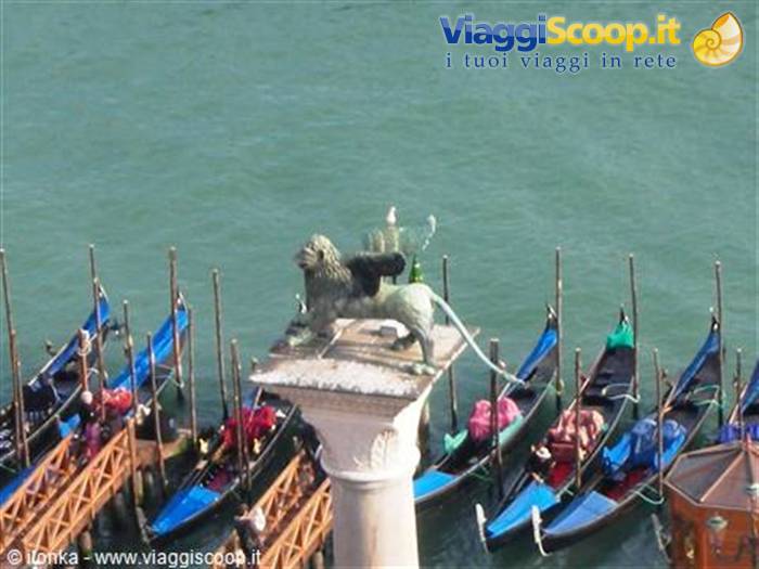 il leone di venezia....