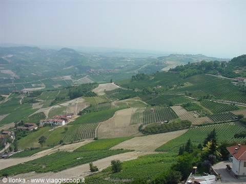 colline delle Langhe