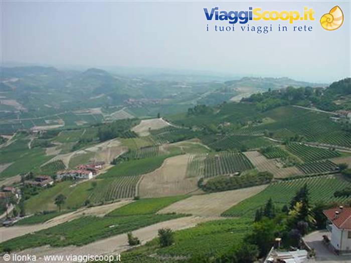 colline delle Langhe