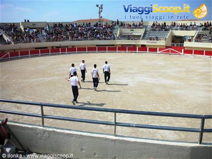 corrida camarguese