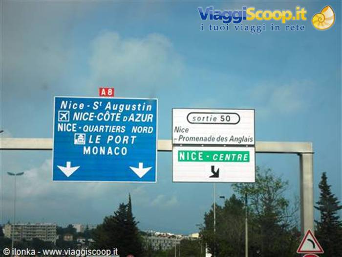 foto di ilonka