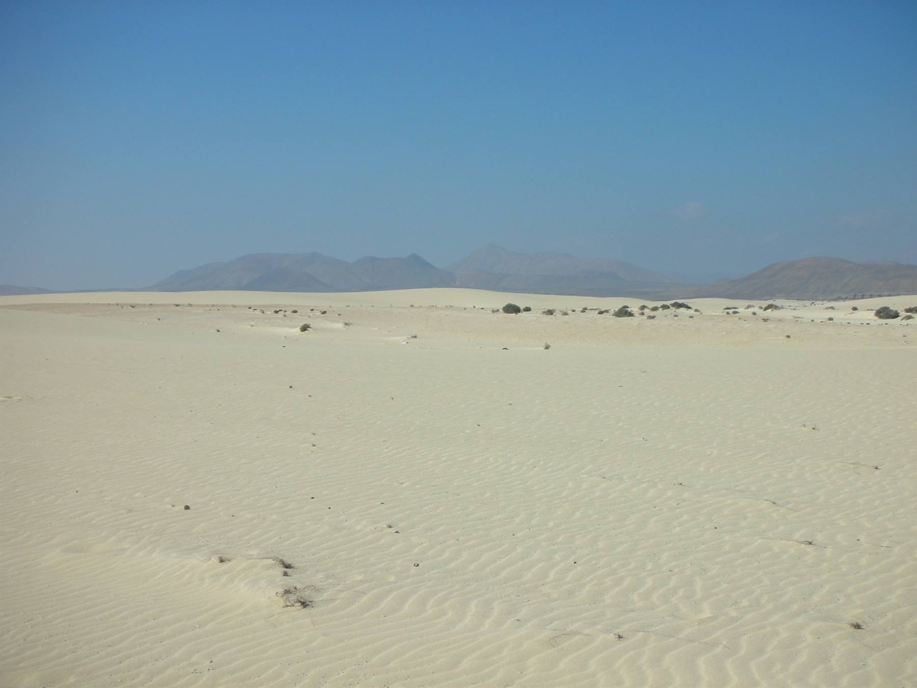 Le dune