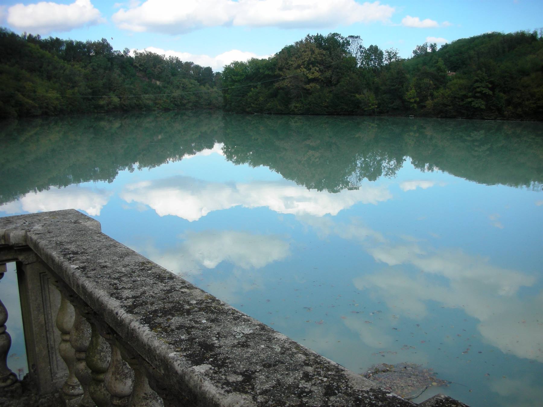 darsena fiume dora, parco bosco