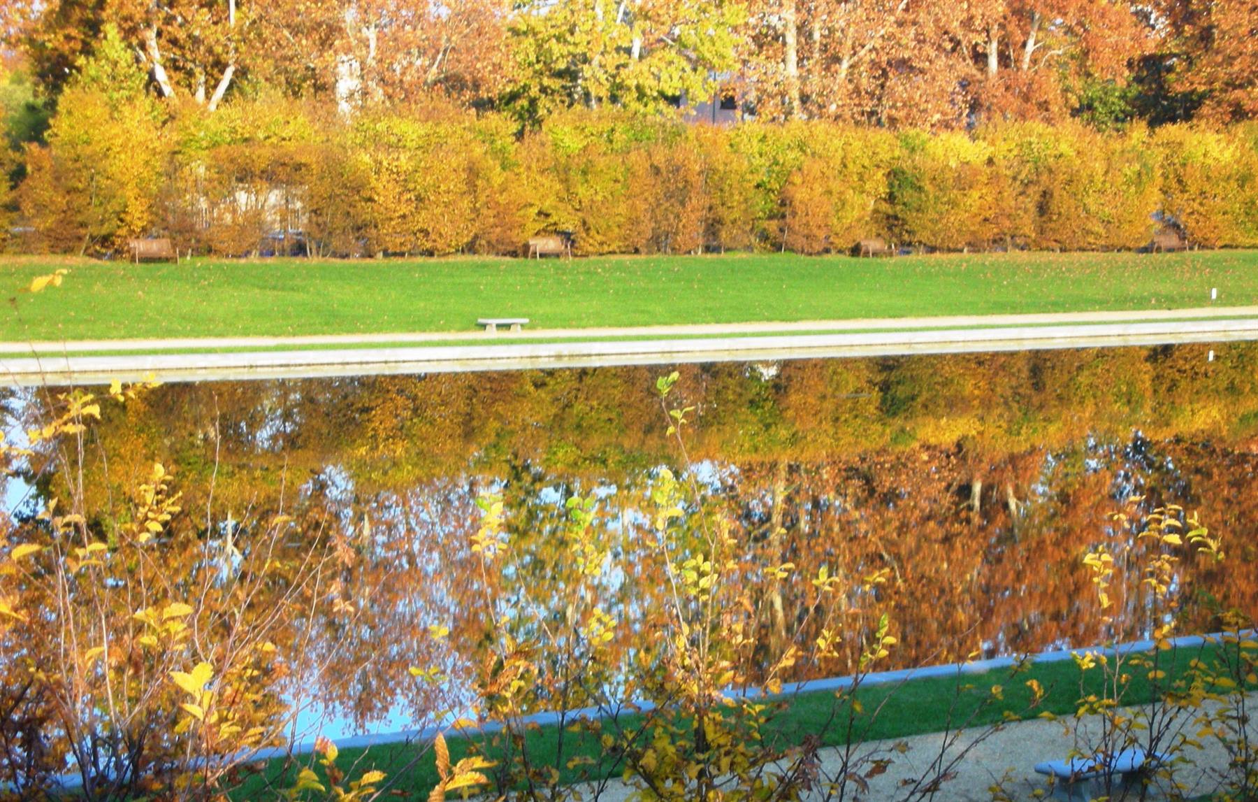 vasca con riflesso degli alberi