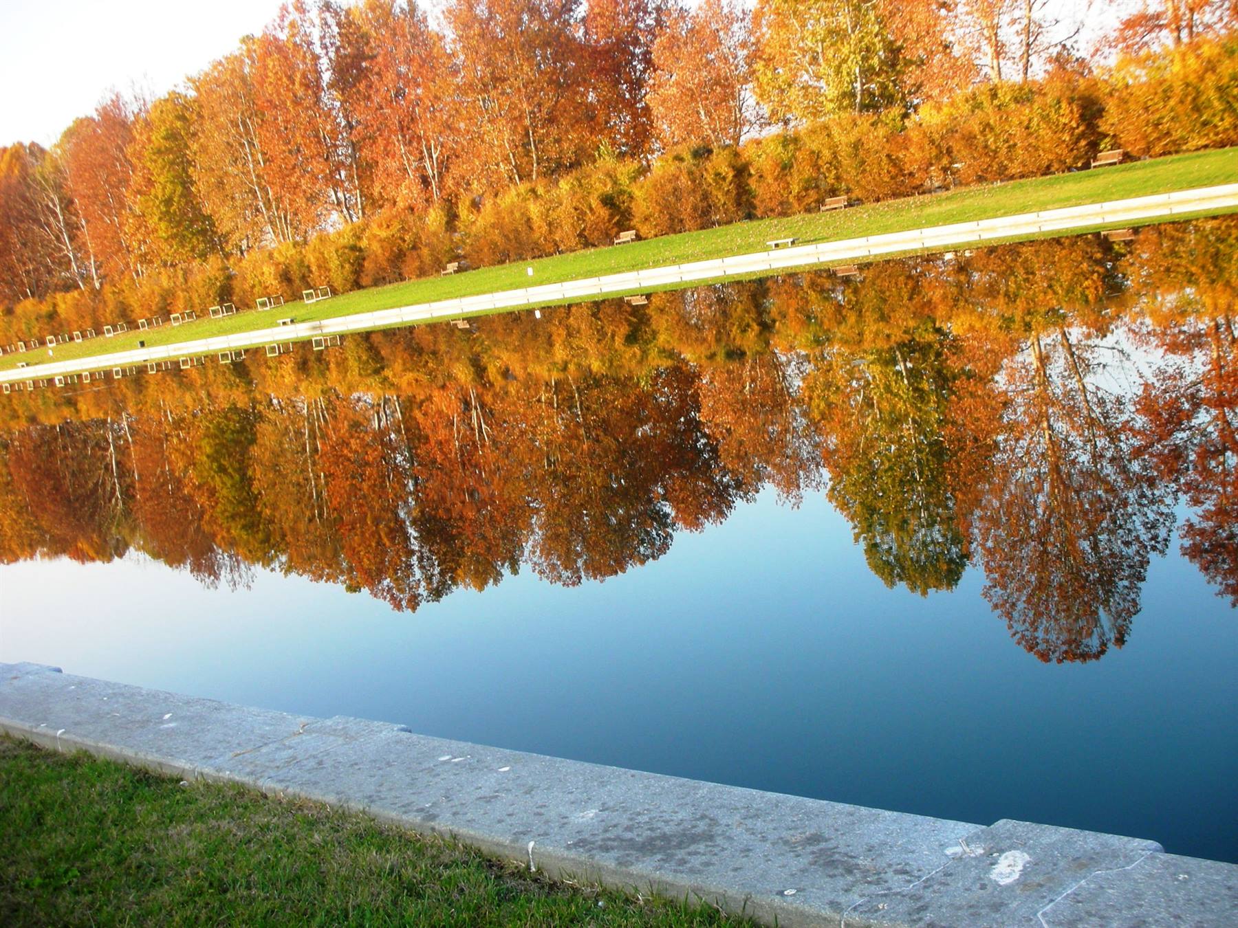 riflessi..autunno nel parco
