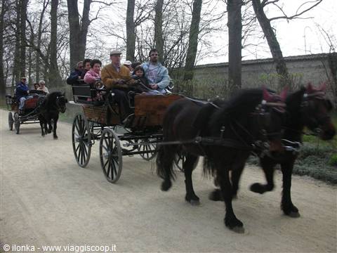 passeggiate in carrozza nel parco