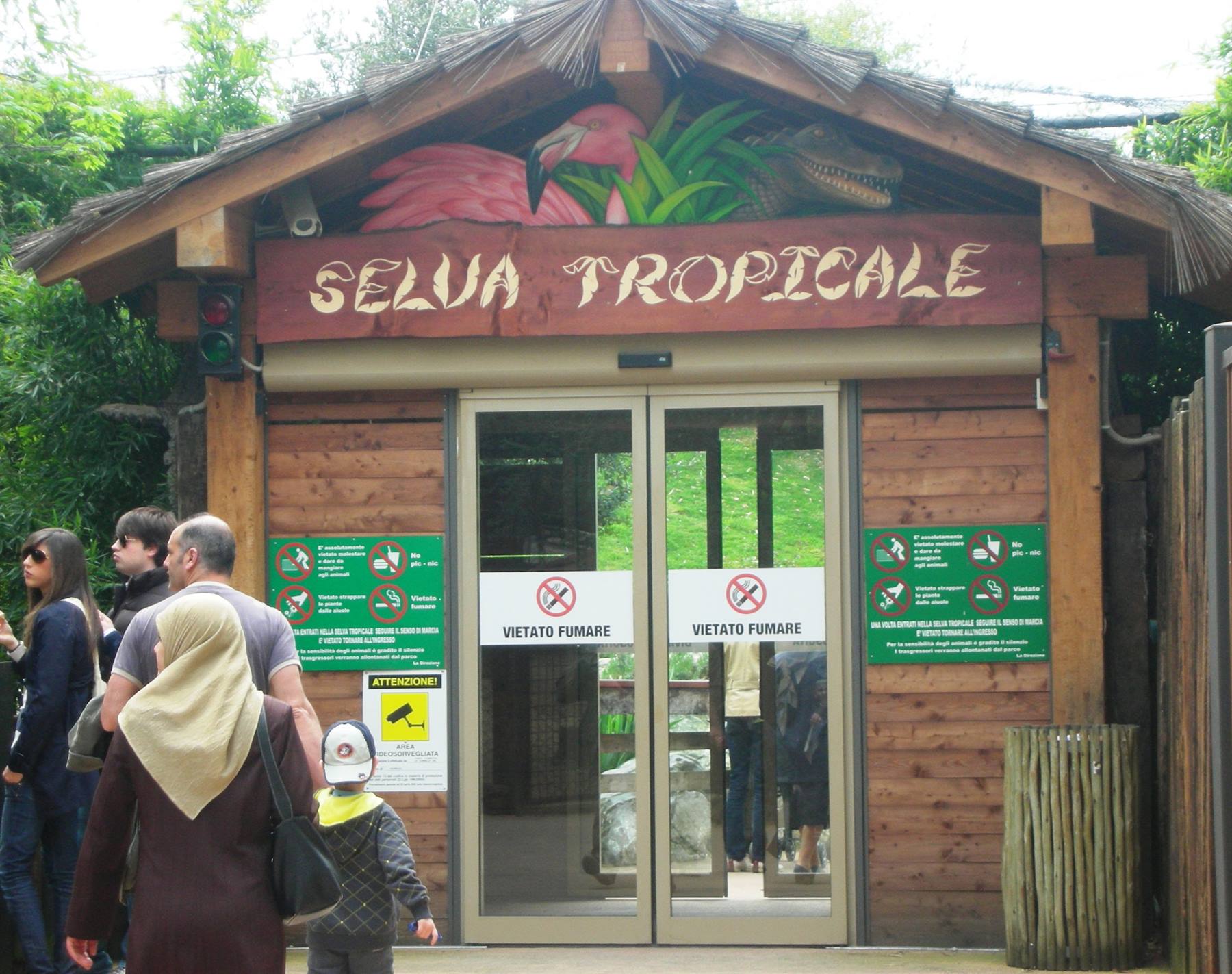 ingresso selva tropicale