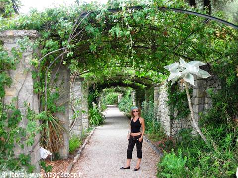 veduta giardino