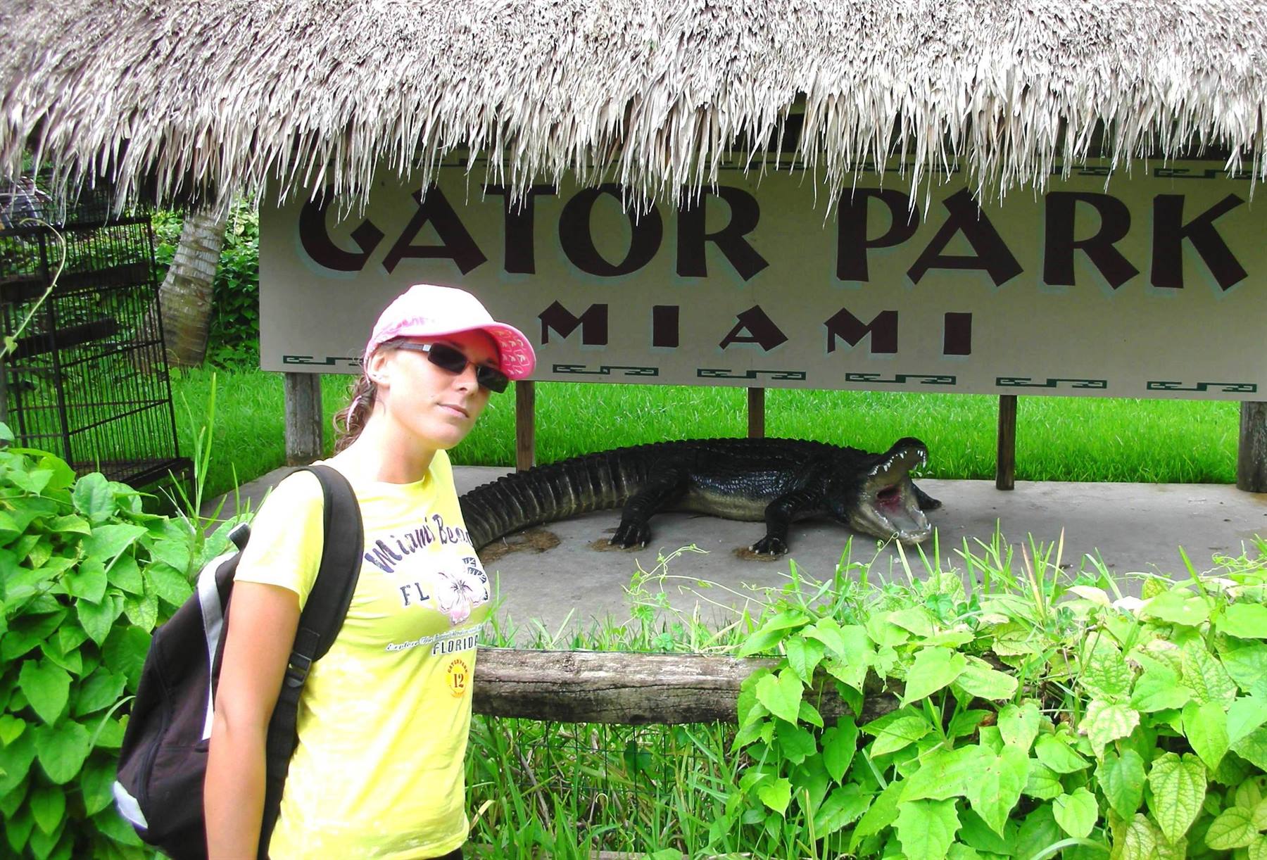 punto foto parco everglades