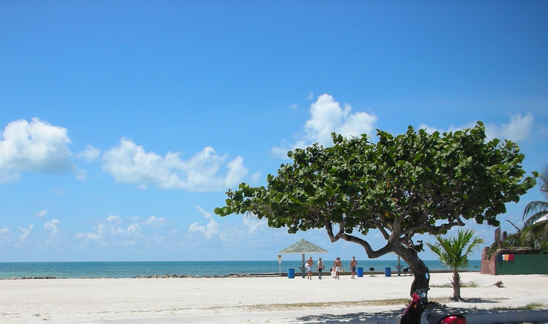 una spiaggia di key west