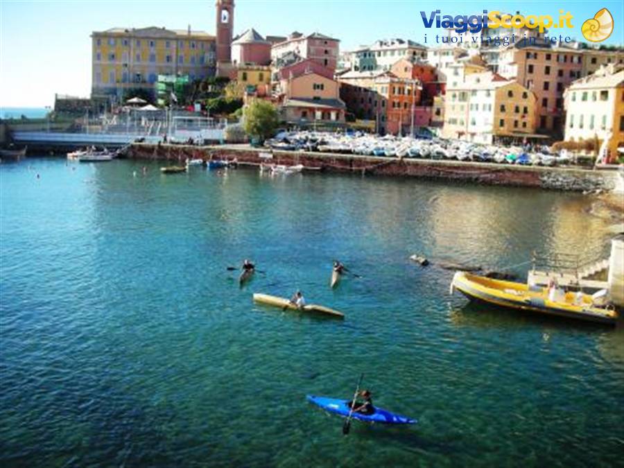 nervi
