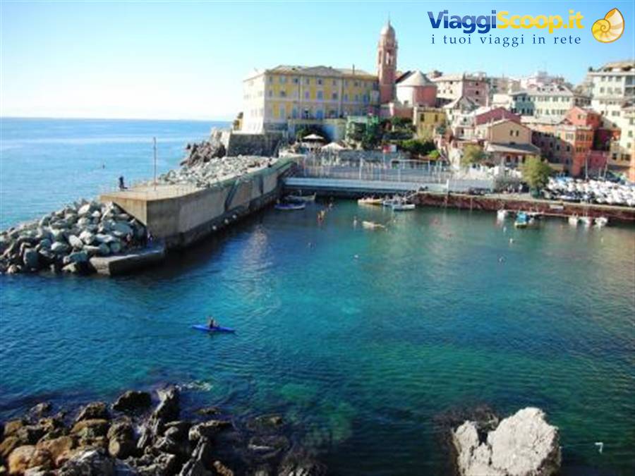 nervi