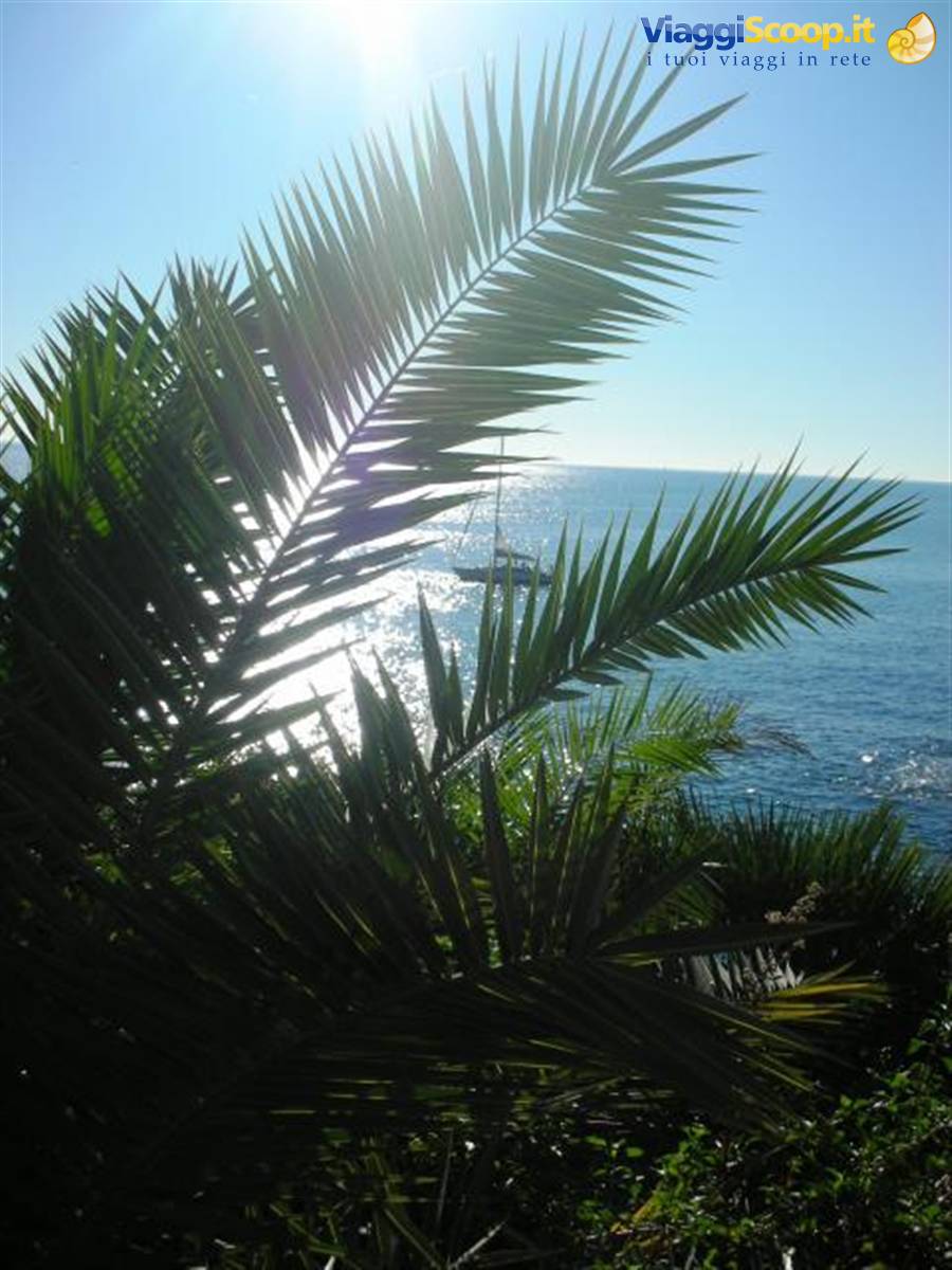 veduta mare - artistica