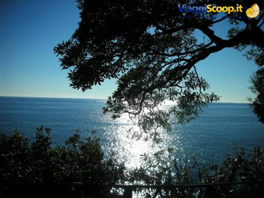 veduta mare da un carruggio di nervi