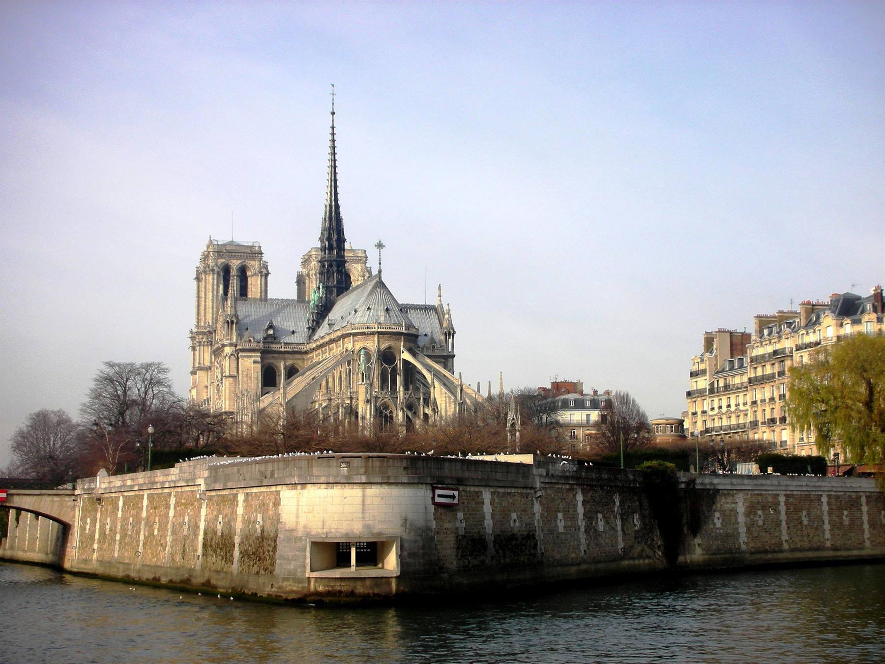 notre dame vista dal bateaux