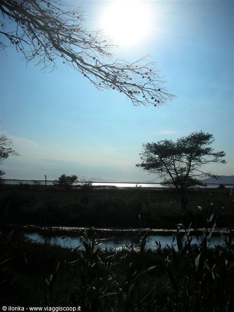 saline di Hyeres