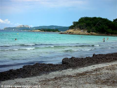 Porquerolles