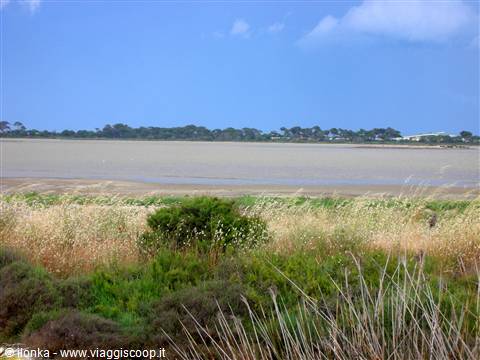 saline di hyeres