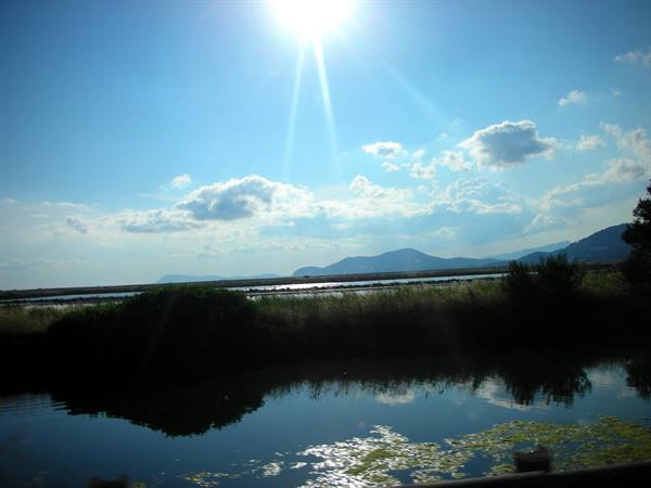 saline di hyeres