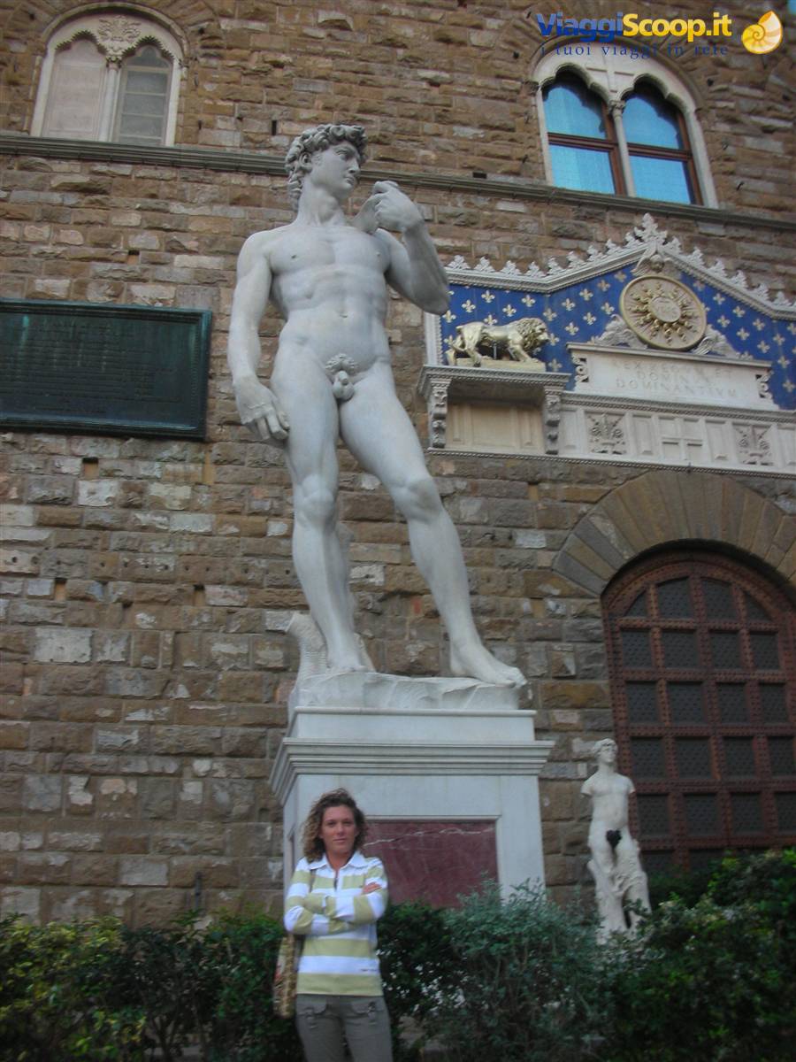 david