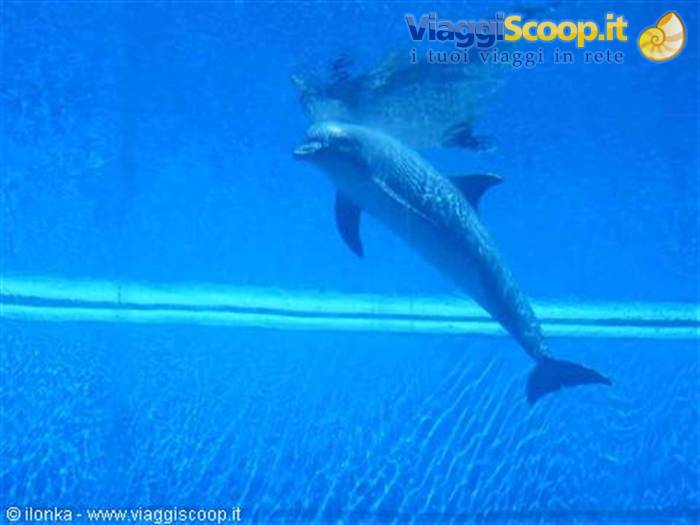 acquario di genova