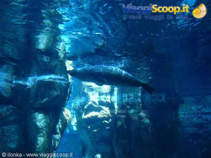 acquario di genova