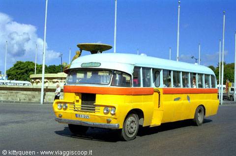 CARATTERISTICI BUS
