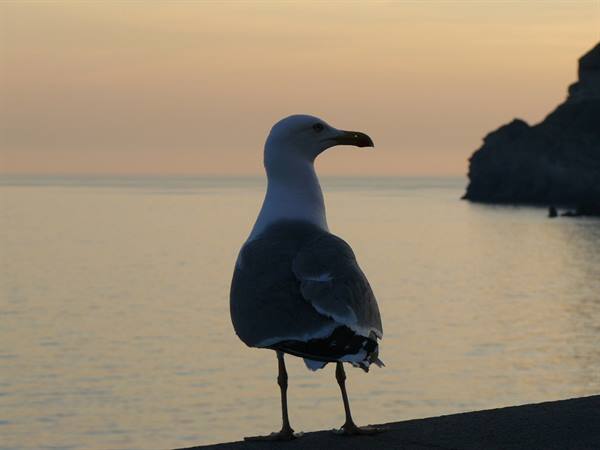 Gustando il tramonto