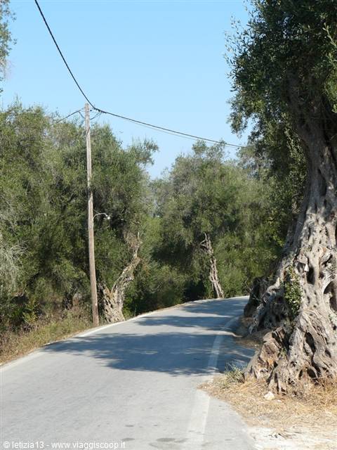 Sulle strade di PAXI