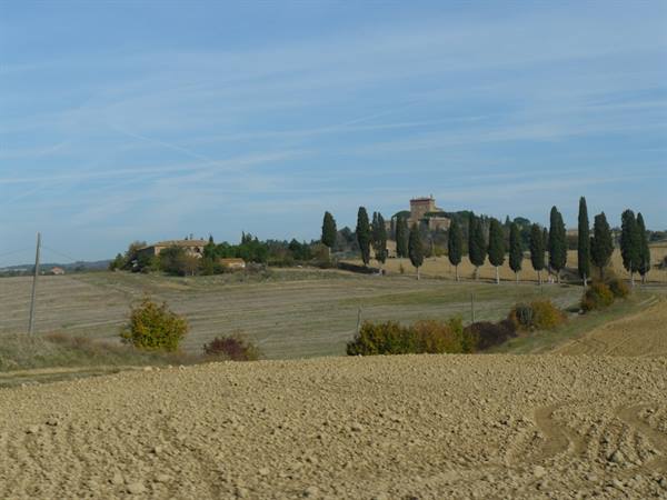 Terre Senesi