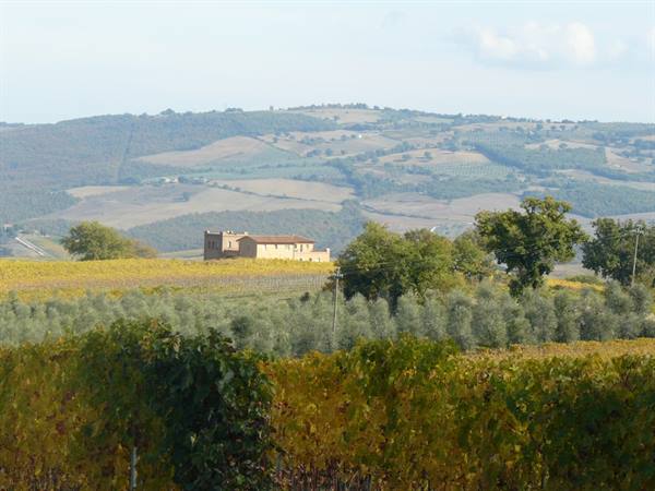 Val D'orcia