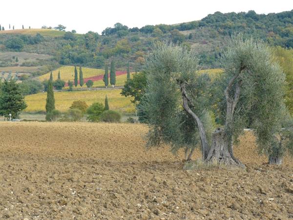 Val D'Orcia