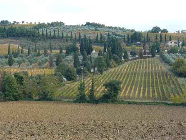 Val D'Orcia