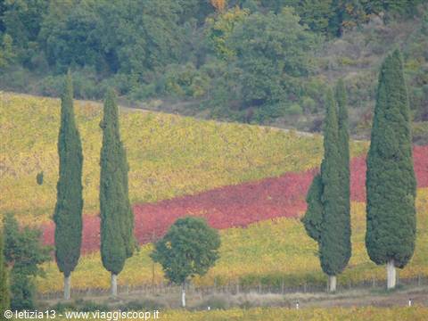 Val D'Orcia - Colori D'Autunno
