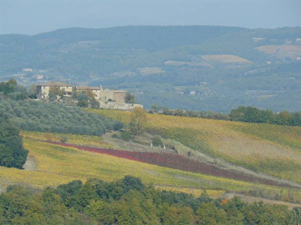 Colori D'Autunno