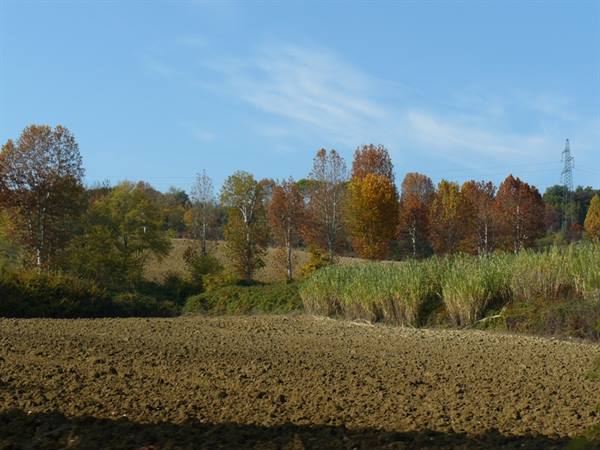 Colori D'Autunno