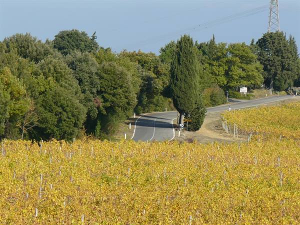 Colori D'Autunno