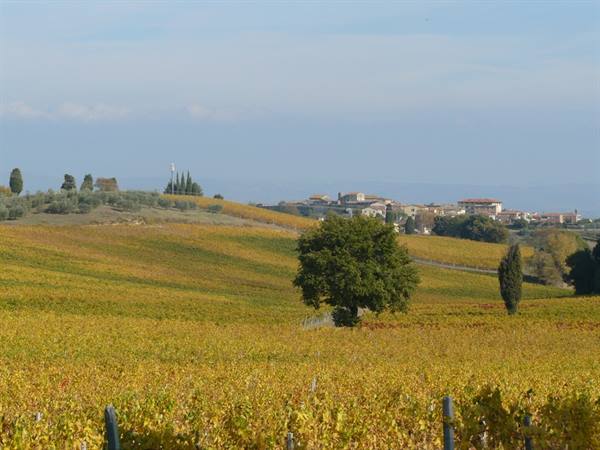 Colori D'Autunno