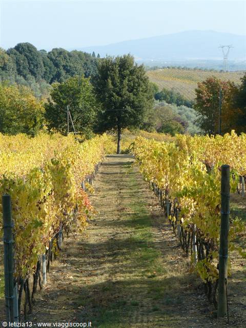 Colori D'Autunno
