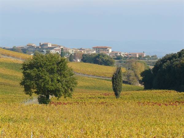 Colori D'Autunno