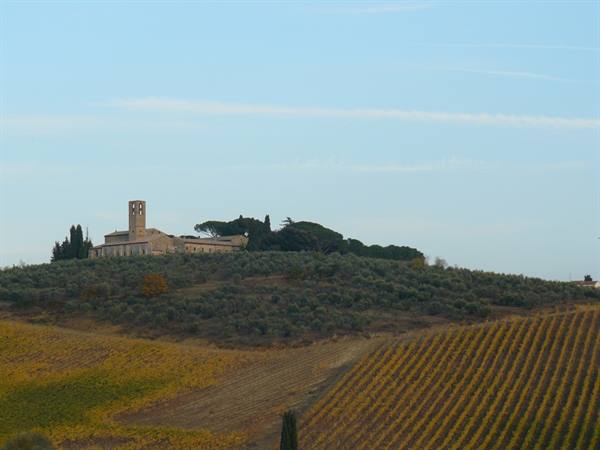 Colori D'Autunno