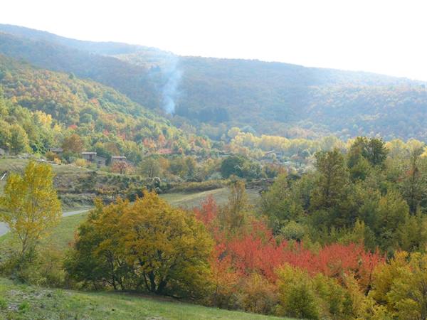 Autunno alle pendici dell'Amiata