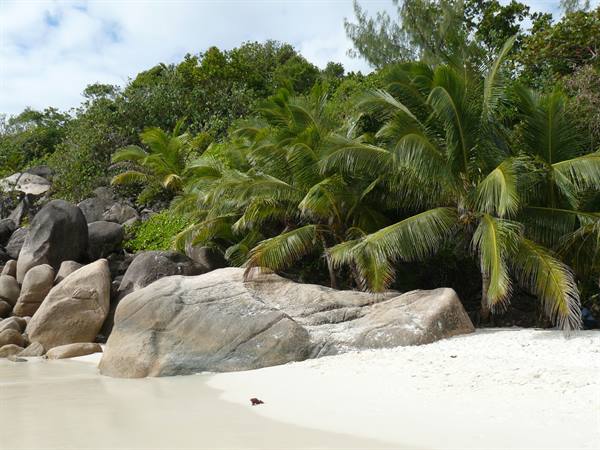 Anse Lazio