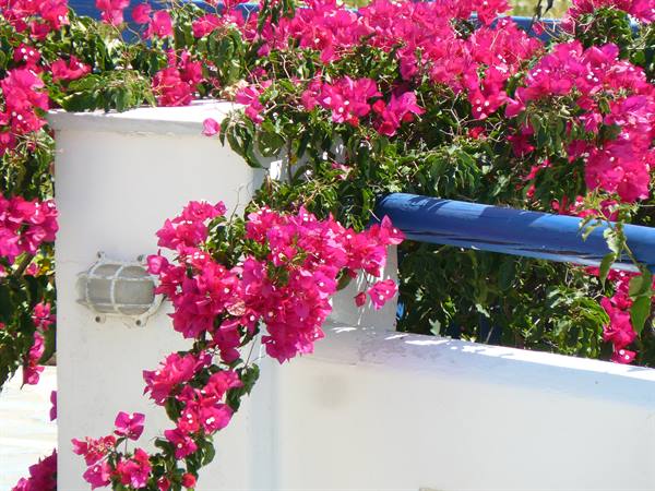 Lefkes Village