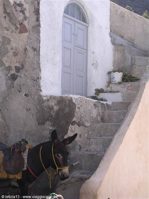 Vecchio porto