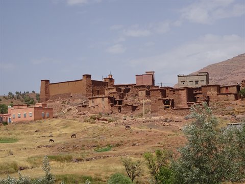 Villaggio di case in terra rossa sui monti dell'Atlante, asini al pascolo, Tinghir