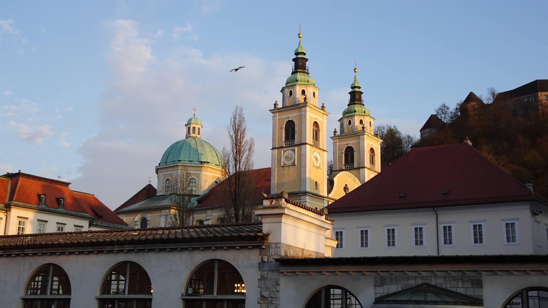 Foto di viaggio in SLOVENIA