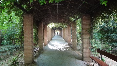 Camminando sotto questo tunnel verde, il tempo sembra essersi fermato.