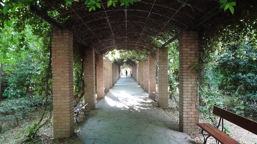 Camminando sotto questo tunnel verde, il tempo sembra essersi fermato.