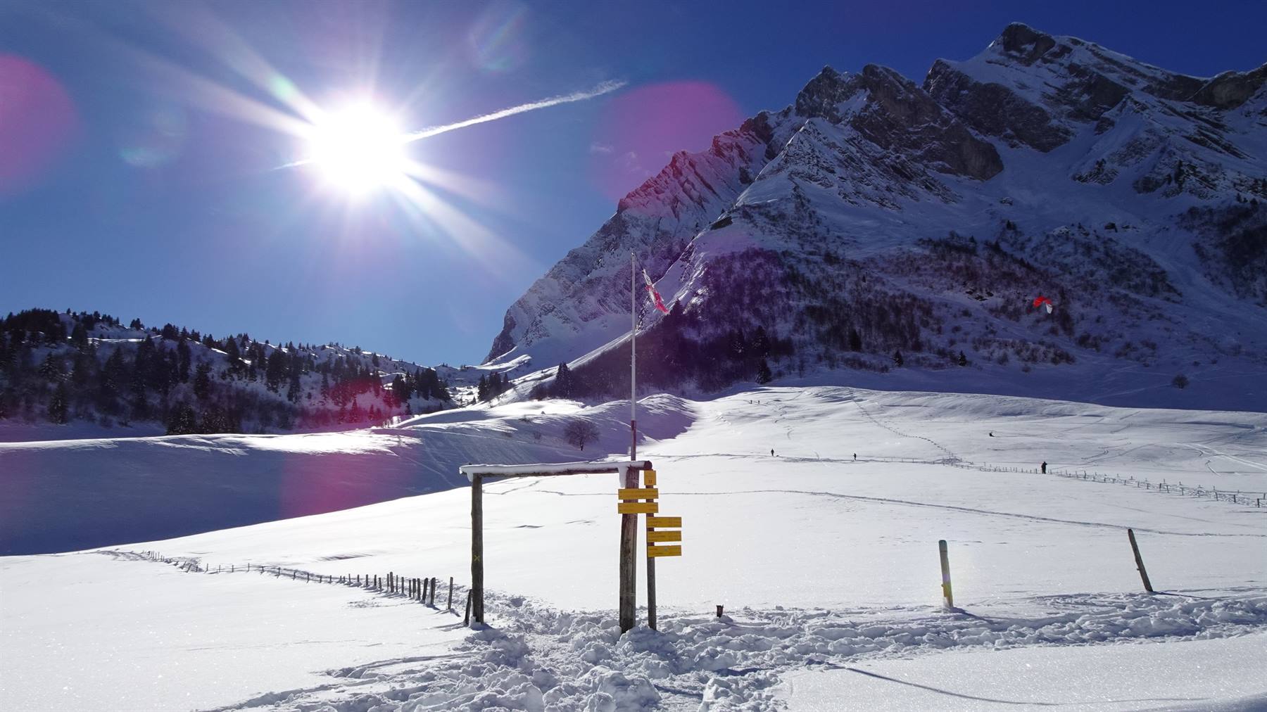 Foto di viaggio in FRANCIA